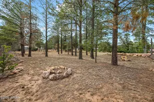 3520 Buckskin Rd, Overgaard, AZ 85933 - Photo 32