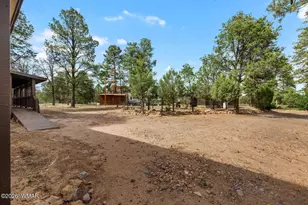 3520 Buckskin Rd, Overgaard, AZ 85933 - Photo 30
