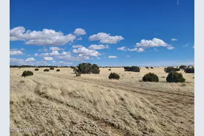 Tbd Cr 5074, Concho, AZ 85924 - Photo 6