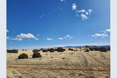 Tbd Cr 5141, Concho, AZ 85924 - Photo 4