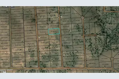 Tbd Cr 5141, Concho, AZ 85924 - Photo 2