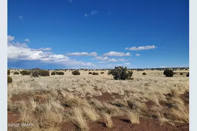 Tbd Cr 5105, Concho, AZ 85924 - Photo 4