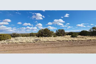 56 County Road, Concho, AZ 85924 - Photo 6