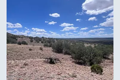 41 Indian Drive (Cr 8062), Concho, AZ 85924 - Photo 4