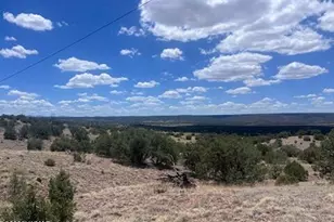 41 Indian Dr (Cr 8062), Concho, AZ 85924 - Photo 1