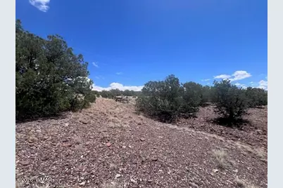 41 Indian Drive (Cr 8062), Concho, AZ 85924 - Photo 12