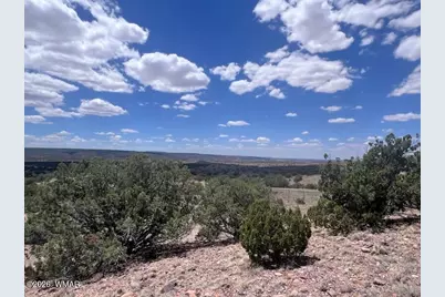 41 Indian Drive (Cr 8062), Concho, AZ 85924 - Photo 6