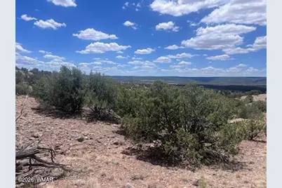 41 Indian Drive (Cr 8062), Concho, AZ 85924 - Photo 8