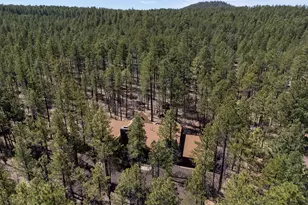 2735 Bobcat Gulch, Pinetop, AZ 85935 - Photo 38
