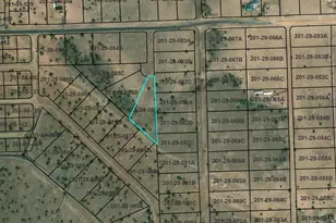 Tbd Cr 5101, Concho, AZ 85924 - Photo 1