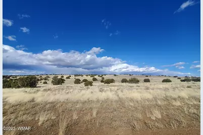 Tbd Cr 5101, Concho, AZ 85924 - Photo 4