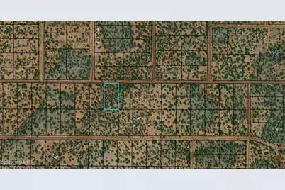 170 Co Road, Vernon, AZ 85940 - Photo 1