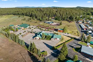 2119 S Penrod Ln, Pinetop, AZ 85935 - Photo 78