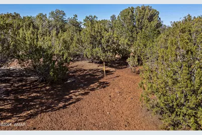 233 Co, Concho, AZ 85924 - Photo 14