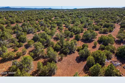 233 Co, Concho, AZ 85924 - Photo 16