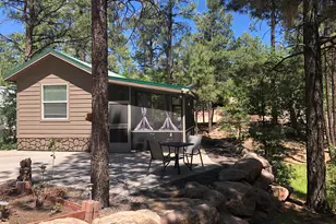 3840 S Mule Skinner Loop, Show Low, AZ 85901 - Photo 1