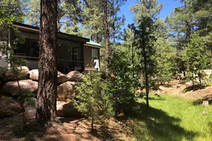 3840 S Mule Skinner Loop, Show Low, AZ 85901 - Photo 6