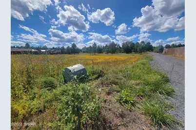 2277 Meadow Lane, Overgaard, AZ 85933 - Photo 6