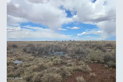 7828 Sandhill Road, Holbrook, AZ 86025 - Photo 4
