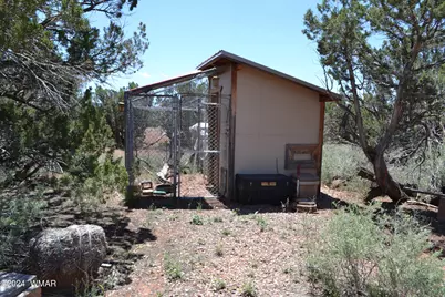 3733 Del Contento, Snowflake, AZ 85937 - Photo 58