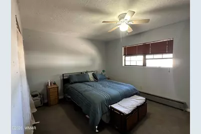 141 S Becker Lake Road, Springerville, AZ 85938 - Photo 10