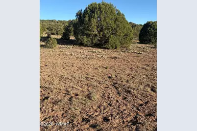 Tbd N5547, Concho, AZ 85924 - Photo 2