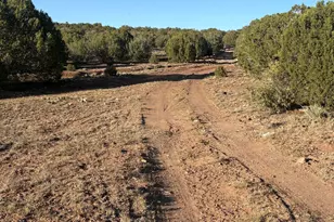 Tbd N5547, Concho, AZ 85924 - Photo 1