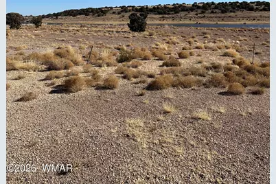 9 County Road 5700, Concho, AZ 85924 - Photo 8