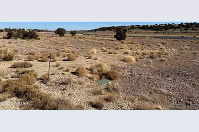 9 County Road 5700, Concho, AZ 85924 - Photo 2