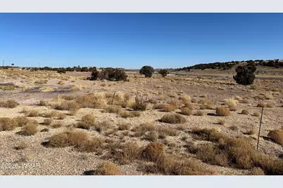 9 County Road 5700, Concho, AZ 85924 - Photo 6