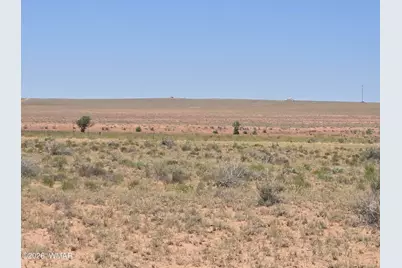 9972 Cattleman Road, Holbrook, AZ 86025 - Photo 6