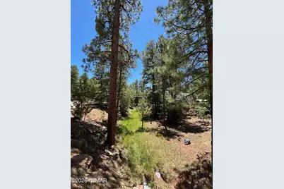 2240 E Lariat Way, Show Low, AZ 85901 - Photo 34