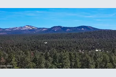 11 Co Rd 3262 5 Acres, Vernon, AZ 85940 - Photo 6