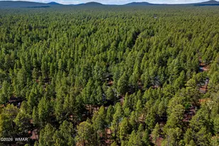 8424 Alchesay Dr, Pinetop, AZ 85935 - Photo 32