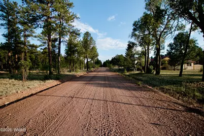 552 Rim Drive, Show Low, AZ 85901 - Photo 56
