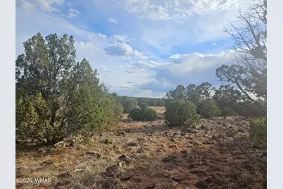2429 Bourdon Ranch Road, Show Low, AZ 85901 - Photo 8