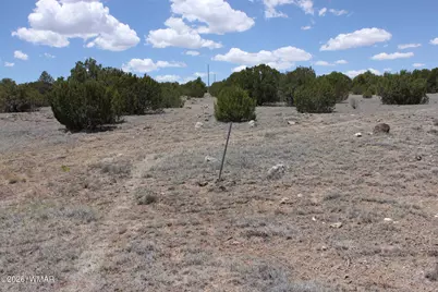 Tbd N8190, Concho, AZ 85924 - Photo 18