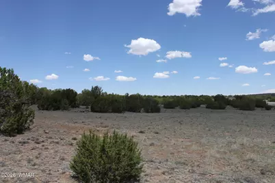 Tbd N8190, Concho, AZ 85924 - Photo 6