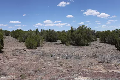 Tbd N8190, Concho, AZ 85924 - Photo 16