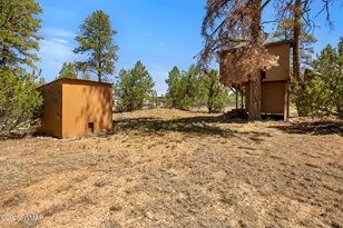 2939 Paint Pony Ln, Overgaard, AZ 85933 - Photo 22