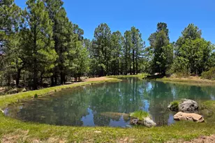 731 S Barberry Ln, Show Low, AZ 85901 - Photo 1