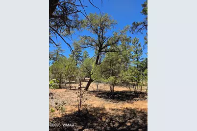 731 S Barberry Lane, Show Low, AZ 85901 - Photo 4