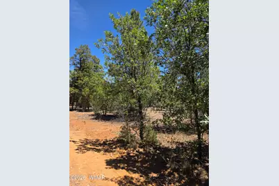 731 S Barberry Lane, Show Low, AZ 85901 - Photo 8