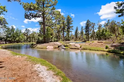 731 S Barberry Lane, Show Low, AZ 85901 - Photo 6