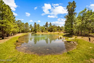731 S Barberry Lane, Show Low, AZ 85901 - Photo 8