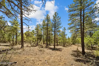 731 S Barberry Lane, Show Low, AZ 85901 - Photo 1