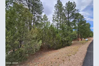 1060 S Hacienda Pines Drive, Show Low, AZ 85901 - Photo 10