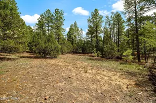 1060 S Hacienda Pines Dr, Show Low, AZ 85901 - Photo 1