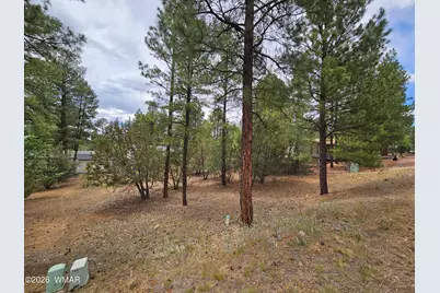 1060 S Hacienda Pines Drive, Show Low, AZ 85901 - Photo 8