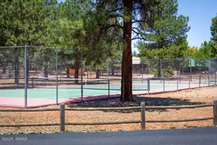 2702 Palomino Trail, Overgaard, AZ 85933 - Photo 42